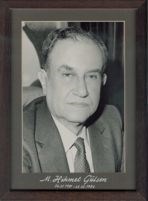 M.Hikmet GÜLŞEN